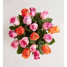 Rosas Sorbet (ramos de 18 tallos solamente)