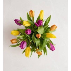 Tulipanes radiantes para el Día de la Madre (15 tallos, solo ramo)