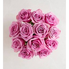 Pasión por las rosas moradas (12 tallos, solo ramo)