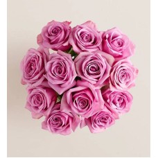 Pasión por las rosas moradas para el Día de la Madre (12 tallos, solo ramo)