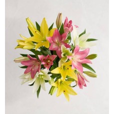 Dulces lirios de primavera para el Día de la Madre (un solo ramo)