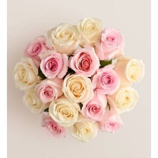 Preciosas rosas para mamá (18 tallos, solo ramo)