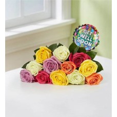 Rosas surtidas para desear pronta recuperación: 12-24 tallos (solo ramo de 12 tallos)