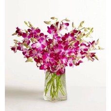 Orquídeas Exotic Breeze™ (10 tallos con jarrón azul y campanilla de viento)
