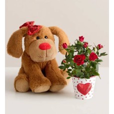 Adorable rosal cachorro con chocolate