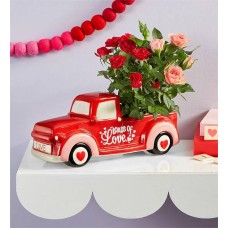 Dúo de plantas de rosas Truck-Loads of Love