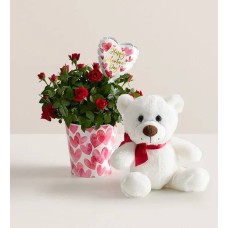 Rosal Bundle of Love (Pequeño)