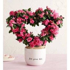 El amor crece aquí (topiario de azaleas)