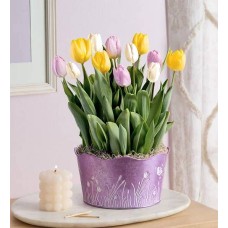 Jardín de tulipanes de pétalos pastel