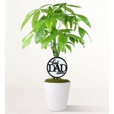 El mejor papá del mundo, Money Tree