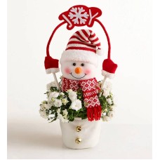 Frosty la planta de nieve (Frosty la planta de nieve)