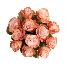 Rosas en acuarela: Siena (solo ramo)