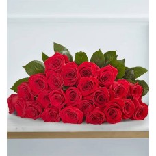 Ilumina su día con dos docenas de rosas rojas (solo el ramo).