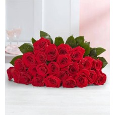 Dos docenas de rosas rojas románticas con jarrón rojo, oso de peluche y chocolate.