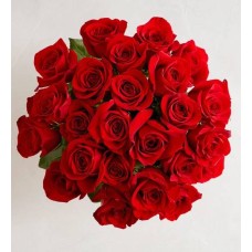 Dos docenas de rosas rojas (solo el ramo)