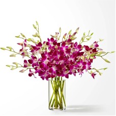 Ramo de orquídeas Positively Purple (estándar con jarrón)