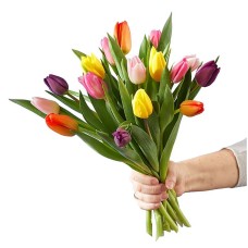 Ramo de tulipanes multicolor Spring Breeze de 15 tallos