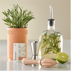 Kit de infusión de cócteles