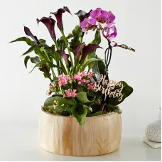 Feliz Cumpleaños Jardín de Orquídeas