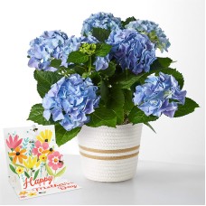 Más allá de las hortensias azules y la tarjeta desplegable del Día de la Madre