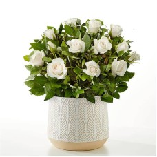 Pure and True White Rose Plant (Leaves Ceramic Containe)