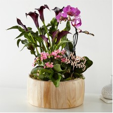 Feliz Cumpleaños Jardín de Orquídeas