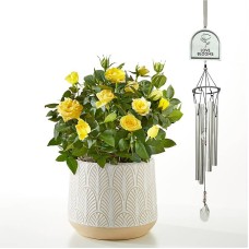 Mini rosa amarilla y campanilla de viento Love Blooms