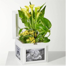 Caja de recuerdos Sunshine Garden