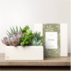 El Jardín de Lula - Jardines Premium para Recuperar la Salud (Jardín Urbano)