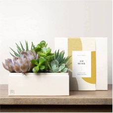 El Jardín de Lula - Jardines Premium "Porque Sí" (Jardín Urbano)
