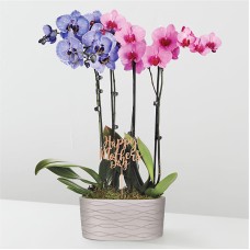 Orquídeas en acuarela de color rosa y lavanda