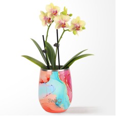 Orquídea Dreamsicle en vaso enfriador Swig(R)