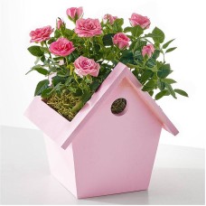 Mini rosa rosa en casita decorativa para pájaros