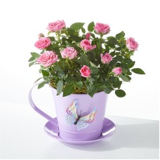 Eres mi taza de té Mini rosa rosa