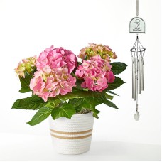 Set de regalo de campanillas de viento con hortensias rosas y flores del amor.