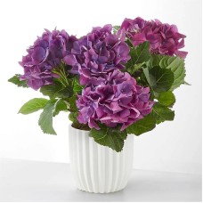 Pretty Purple Hydrangea (Woven Basket)