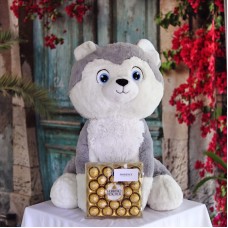 Lindo y grande peluche de husky con chocolates