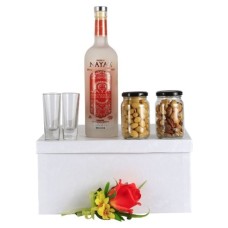 Set De Decantador Con Vino Sangre De Toro