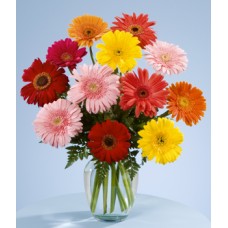 Florero de Gerberas