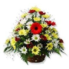Cesta Gerberas Y Margaritas