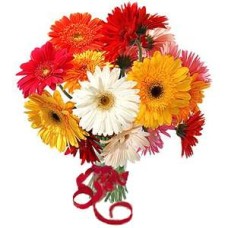 Ramo de Gerberas Premium