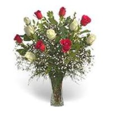 Florero 12 Rosas Bicolor