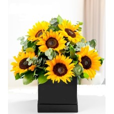 CAJA DE GIRASOLES