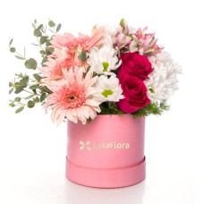 Astromelias Rosadas, Gerberas Rosadas Y Margaritas Blancas En...