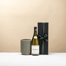 Enfriador de vino Dentelles - Oliva con botella de vino en caja de regalo