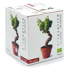 L'Insolite de Lascaux - Vino tinto ecológico AOC du Languedoc Bib 3L