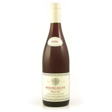 Borgoña Pinot Noir - 12,5%
