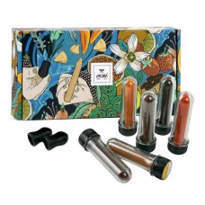 Pack regalo 6 lápices + expositor - Limón confitado ecológico, Higo y canela ecológico, Chile y ajo ecológico, Azafrán ecológico, Boletus