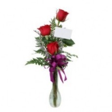 Tres rosas en florero