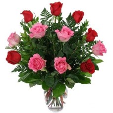 12 rosas rosadas y rojas florero incluido